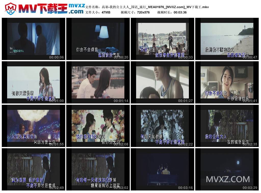 高羽-我的公主大人_国语_流行_MEA01976